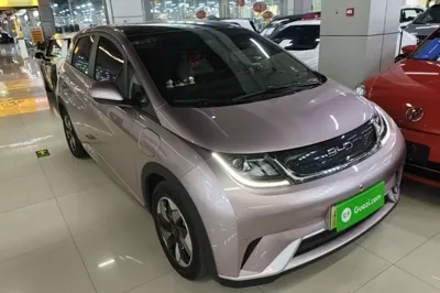 BYD Dolphin