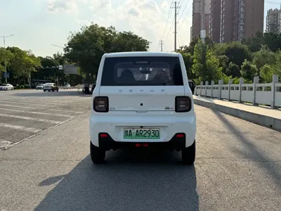 Galaxy Panda