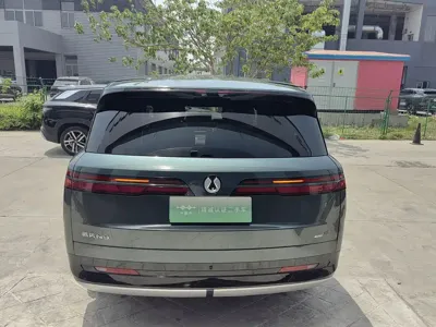 Denza 腾势N9