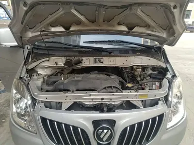 Foton Maverick E
