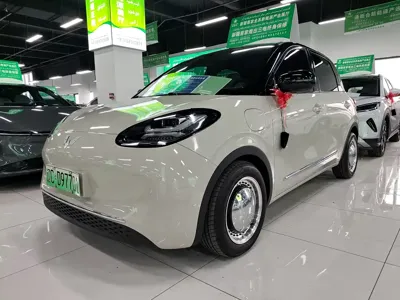 Wuling Bingo