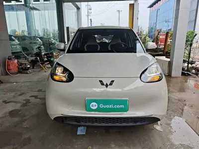 Wuling Bingo