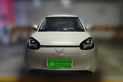 Wuling Bingo