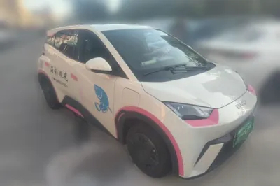BYD Seagull