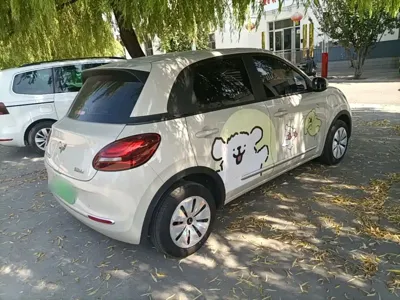 Wuling Bingo