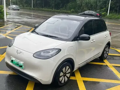 Wuling Bingo