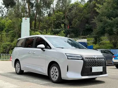 Wuling 星光730