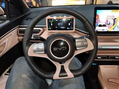 BYD Seagull