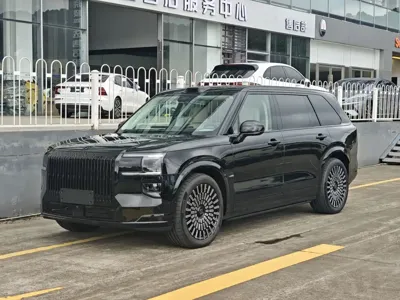 Zeekr 极氪9X