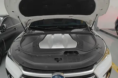 BYD Tang New Energy
