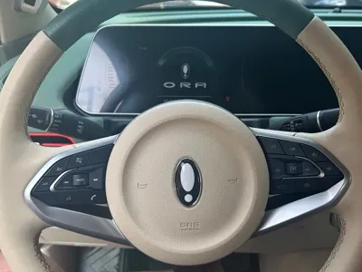 ORA Ora Good Cat
