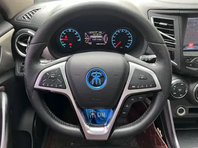 BYD New Energy