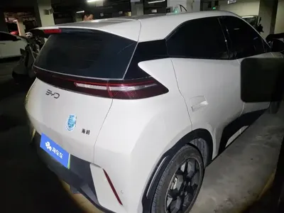 BYD Seagull