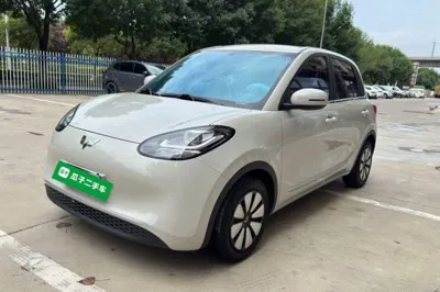 Wuling Bingo