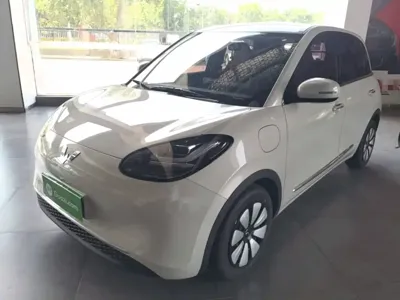 Wuling Bingo