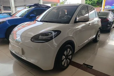 Wuling Bingo