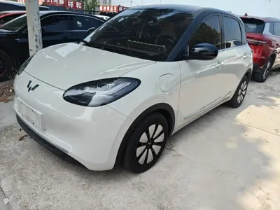 Wuling Bingo