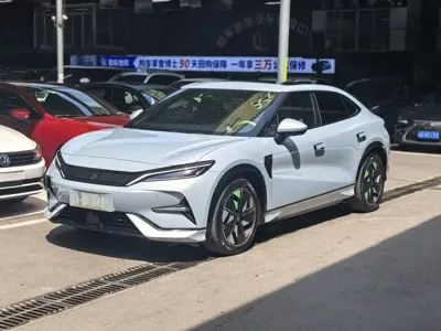 BYD L EV