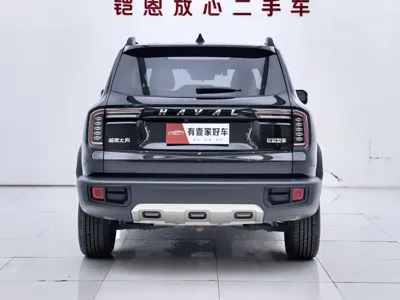 Haval Big Dog