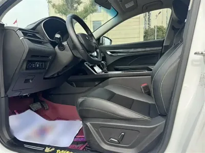 Geely Binrui