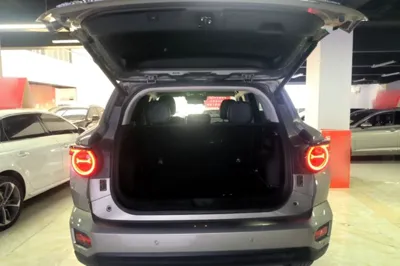 Haval H Dog