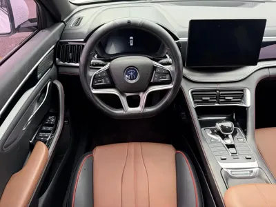 BYD PLUS