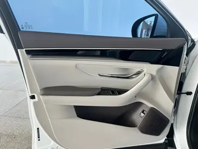 BYD PLUS New Energy