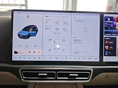 Li Auto Li L9
