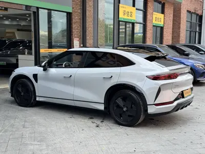 BYD L EV