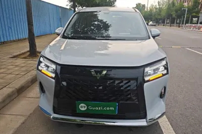 Wuling 730
