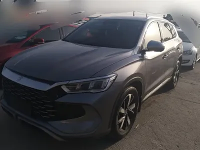 BYD Pro New Energy