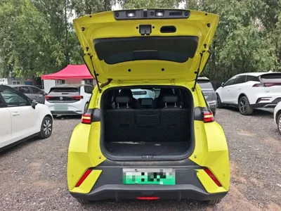 BYD Seagull