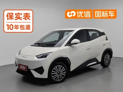 BYD Seagull