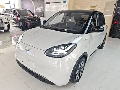 Wuling Bingo