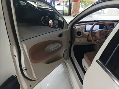 Wuling Bingo