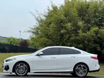 BMW 2 Series (Import)
