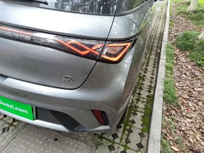 BYD Dolphin