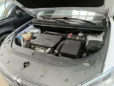 BYD Pro