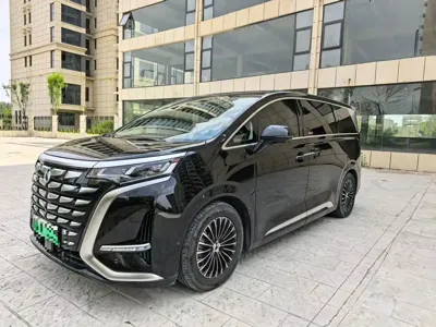 Denza Denza D9