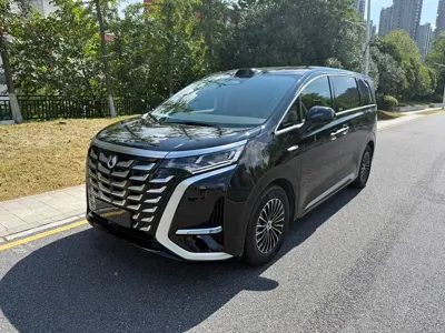Denza Denza D9