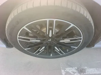 NETA Neta S