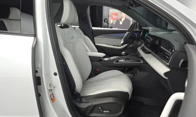 Renault-KoreaSamsung Grand Koleos