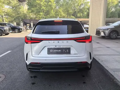 Lexus NX New Energy