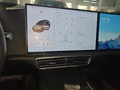 Li Auto Li L9
