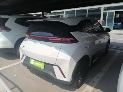 BYD Seagull