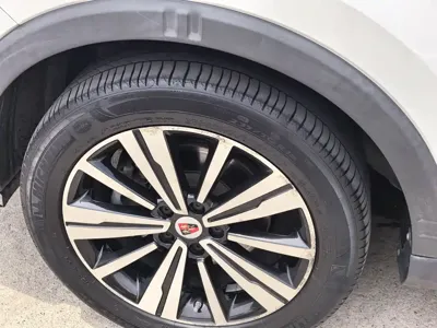 Roewe RX5 New Energy