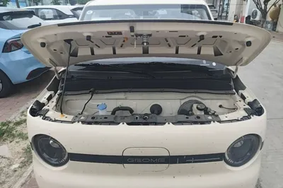 Geely Galaxy Panda