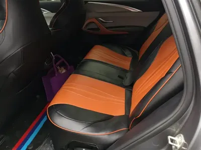 BYD Pro New Energy