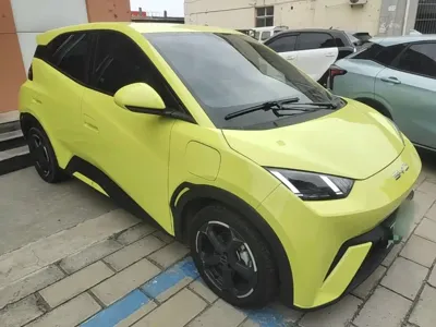 BYD Seagull