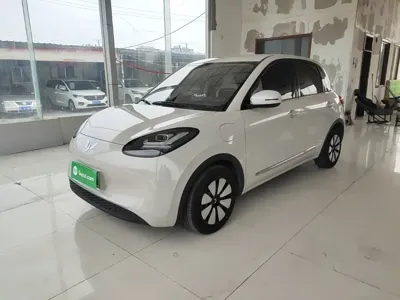 Wuling Bingo